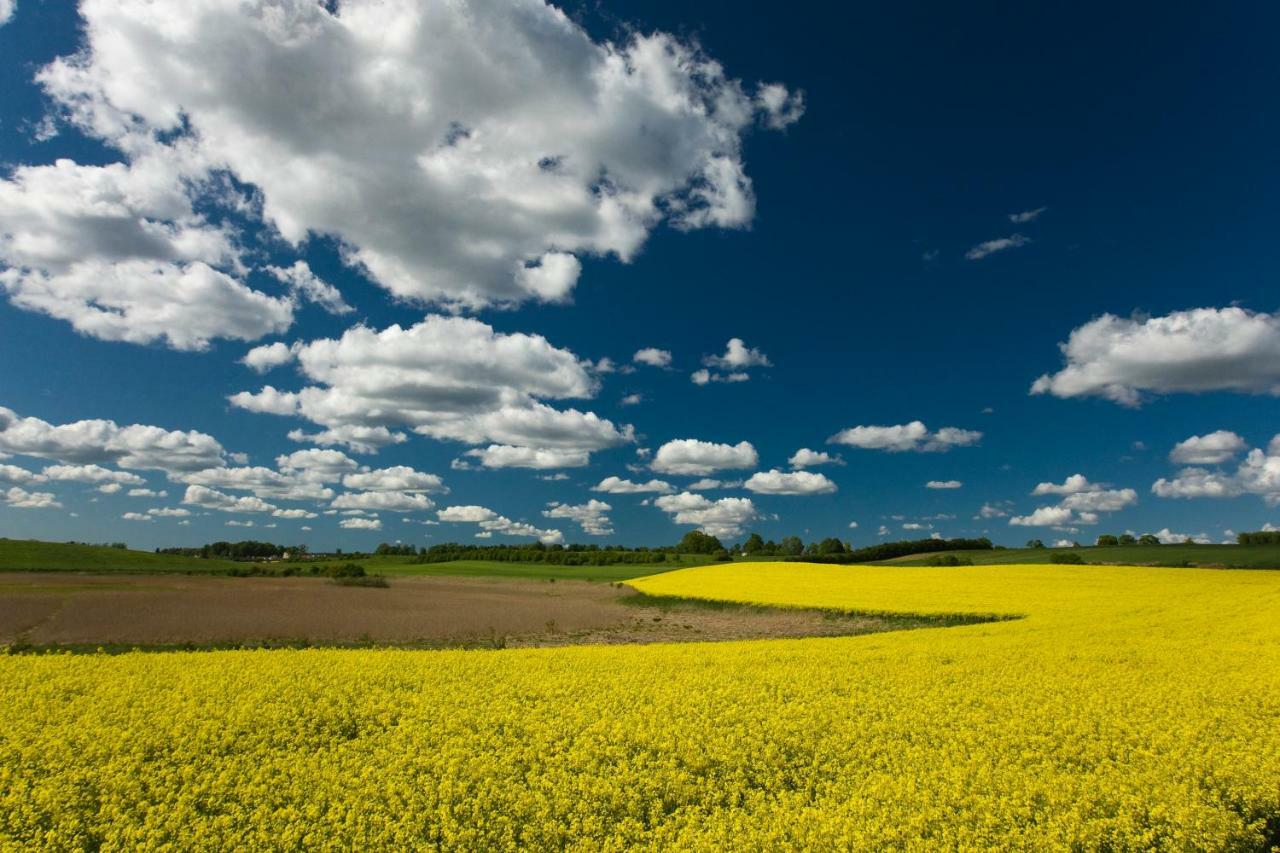 Rezydencje Willa Port Apartamenty Antinori Ostróda Exteriér fotografie